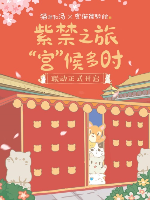 貓咪和湯×宮貓?bào)w驗(yàn)館 奉旨擼貓主題店上線