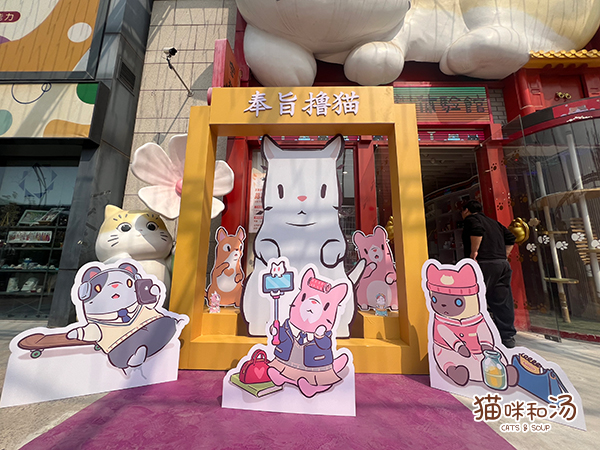 貓咪和湯×宮貓?bào)w驗(yàn)館 奉旨擼貓主題店上線