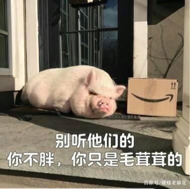 人胖怎么起外號好聽