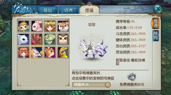 誅仙手游稀有狐貍技能怎么加點(diǎn)